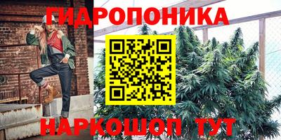 индика Кинель