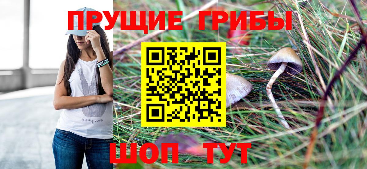 Псилоцибиновые грибы Psilocybine cubensis  Вход с VPN  Верхняя Пышма 